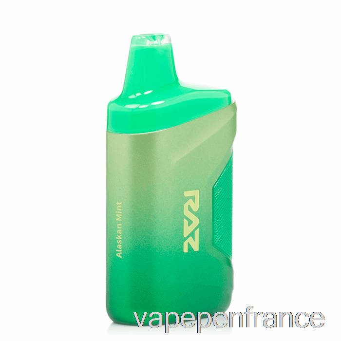 Raz Ca6000 0% Zéro Nicotine Stylo Vape Jetable à La Menthe D'Alaska